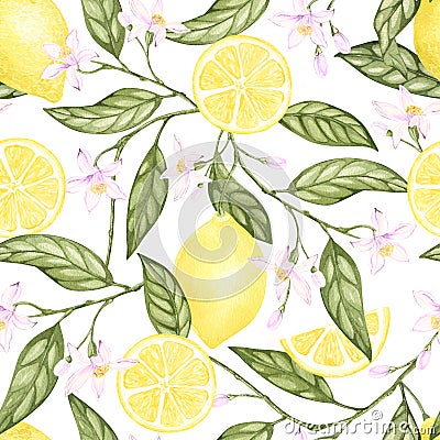 watercolor lemon seamless pattern. hand drawn on white background. Botanical illustration yellow citrus fruits, flowers Cartoon Illustration