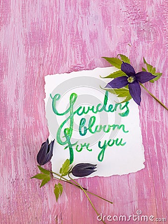Watercolor lettering and dark violet clematis alpina flowers Stock Photo