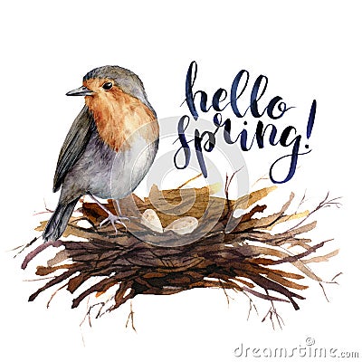 Watercolor lettering Hello spring bird card. Hand painted illustration with robin in the nest isolated on white Cartoon Illustration