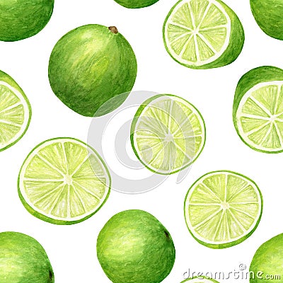 Watercolor lime seamless pattern. Hand drawn botanical illustration of citrus slices and fruit split Cartoon Illustration