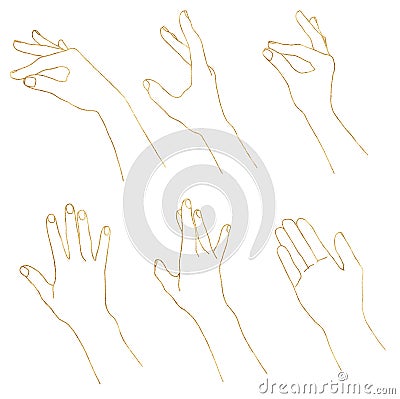 Watercolor linear gold set of hands poses. Hand painted abstract fingers shapes isolated on white background Cartoon Illustration