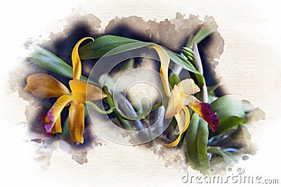 Watercolor Rendition of Orchids Stock Photo