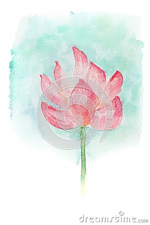 Watercolor of lotus flower. Cartoon Illustration
