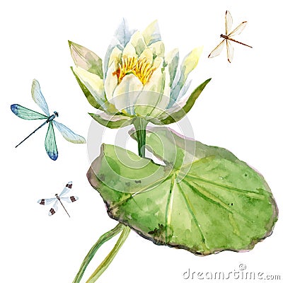 Watercolor lotus flower Vector Illustration