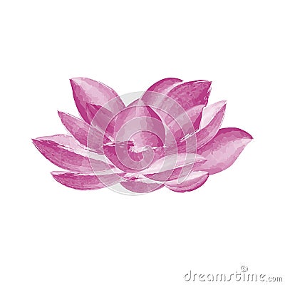 Watercolor lotus flower Vector Illustration