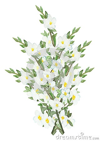 Watercolor lush bouquet of flowering branches of Apple trees.Watercolor lush bouquet of flowering branches of Apple trees. Cartoon Illustration