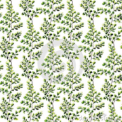 Watercolor maidenhair fern seamless pattern. Hand painted fern o Cartoon Illustration