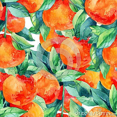 Watercolor mandarine orange fruit branch with leaves seamless pattern Cartoon Illustration