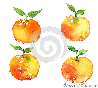 Watercolor mandarine orange fruit set isolated on white background. Cartoon Illustration