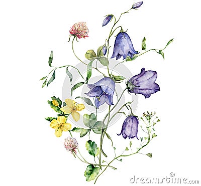 Watercolor meadow flowers bouquet of clover, chamomile and campanula. Hand painted floral poster of wildflowers isolated Stock Photo