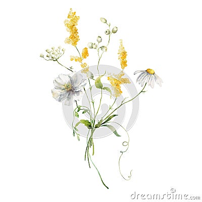 Watercolor meadow flowers bouquet of yellow buttercups and white poppies. Hand painted floral illustration isolated on Cartoon Illustration