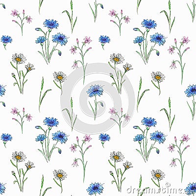 Watercolor wild flowers collection. Hand drawn illustration Stock Photo