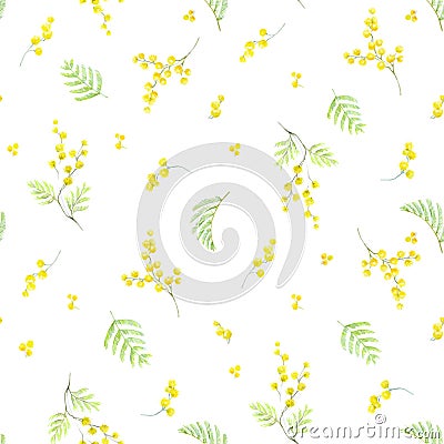 Watercolor mimosa vector pattern Vector Illustration