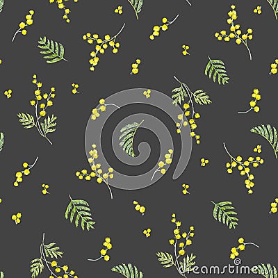 Watercolor mimosa vector pattern Vector Illustration