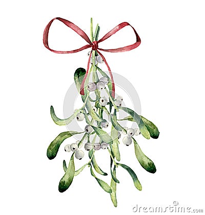 Watercolor mistletoe composition. Hand painted mistletoe bouquet of branch with white berry and red bow isolated on Cartoon Illustration