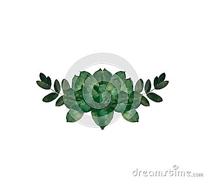 Watercolor modern decorative element. Eucalyptus round Green leaf Wreath, greenery branches, garland, border, frame, elegant Stock Photo