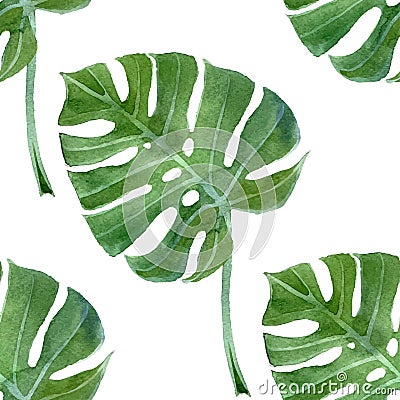 Watercolor monstera leaf seamless Vector Illustration