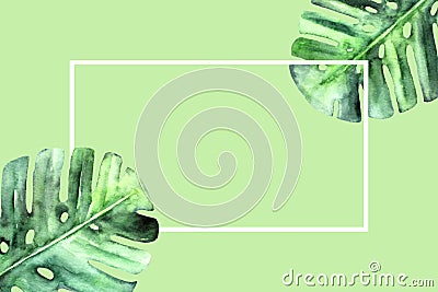 Watercolor monstera leaves on light green background. Botanical nature frame with white border and place for text. Flat Stock Photo