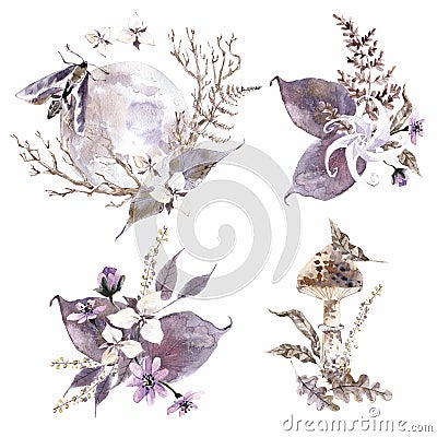 Watercolor mystical compositions. Flowers, moth, moon and plants Brown and violet Stock Photo