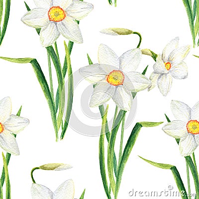 Watercolor narcissus flower seamless pattern. Hand drawn daffodil bouquet illustration isolated on white background Cartoon Illustration