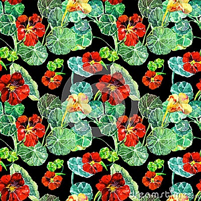 Watercolor nasturtium flowers. Version D. Floral seamless pattern for design. Cartoon Illustration