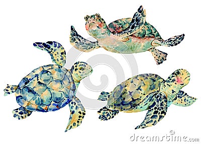 Watercolor natural vintage set of sea turtle Cartoon Illustration