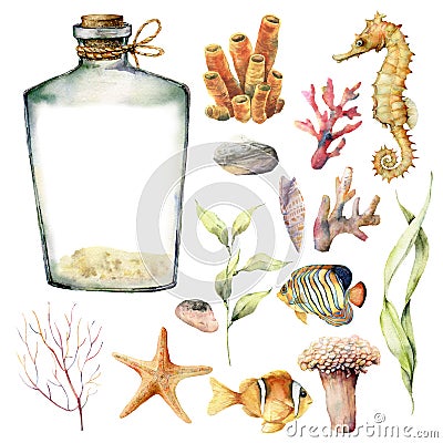 Watercolor nautical set with coral animals, plants and fish. Hand painted underwater branches, starfish, bottle isolated Cartoon Illustration