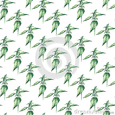 Watercolor nettle herbs. seamless pattern Vector Illustration