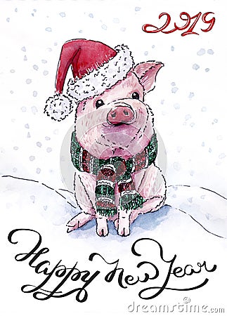 Christmas card with a pig for 2019 Stock Photo