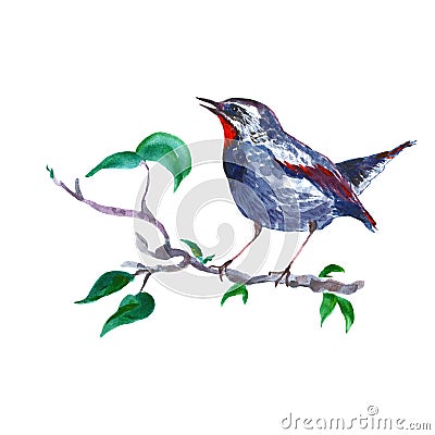 Watercolor nightingale bird on tree branch, isolated on white background. Spring hand painted illustration in vintage style Cartoon Illustration