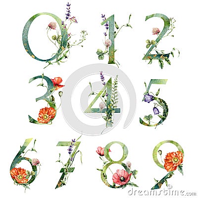 Watercolor numbers set of wild flowers. Hand painted floral symbols isolated on white background. Holiday Illustration Stock Photo