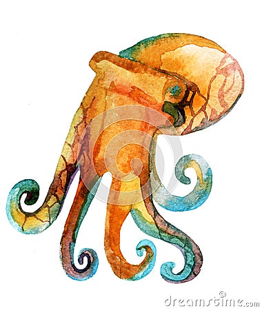 Watercolor octopus illustration Cartoon Illustration