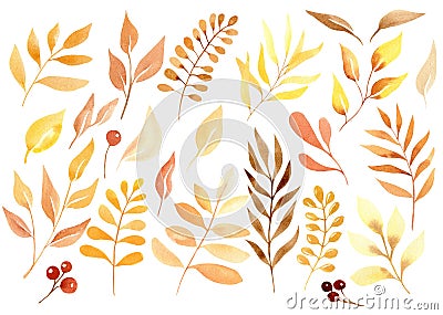 Watercolor orange autumn leaves set for fall designs. Cartoon Illustration
