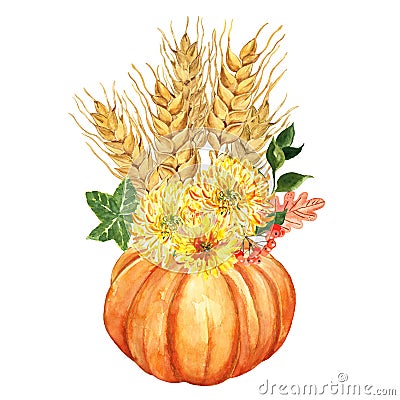 Watercolor orange pumpkin and yellow mums flowers, wheat sheaf, leaves, red berries. Autumn Thanksgiving holiday decor Cartoon Illustration