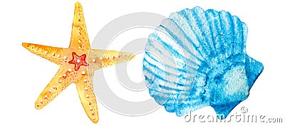 Watercolor orange starfish seashells hand drawn isolated on white background. Marine clipart Stock Photo