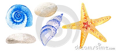 Watercolor orange starfish seashells hand drawn isolated on white background. Marine clipart Stock Photo