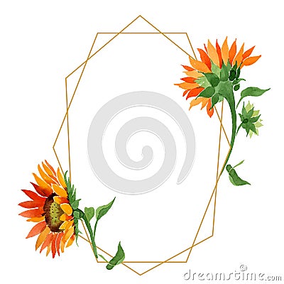 Watercolor orange sunflower flower. Floral botanical flower. Frame border ornament square. Stock Photo