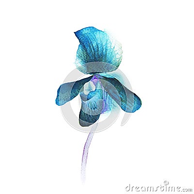 Watercolor orchid Stock Photo