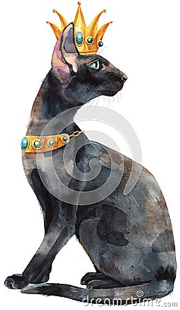 Watercolor oriental black cat with gold crown. Painting animal illustration Stock Photo