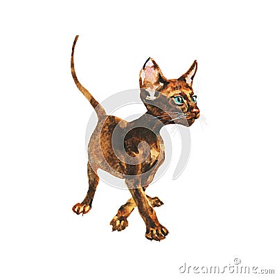 Watercolor oriental cat Cartoon Illustration