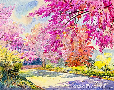 Watercolor original landscape painting pink color of Wild himalayan cherry Stock Photo