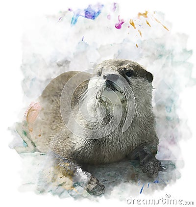 Watercolor Otter Portrait Stock Photo