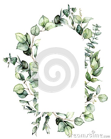 Watercolor oval frame of eucalyptus leaves, branches and seeds. Hand painted card of silver dollar plants isolated on Cartoon Illustration