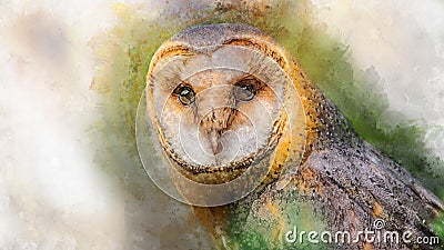 Watercolor owl isolated on white background. Hand drawn watercolor owl perfect for design greating card or print Stock Photo
