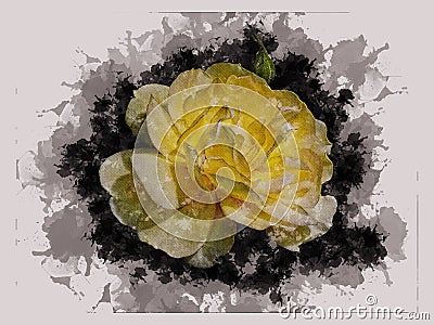 Watercolor painted beautiful stylized yellow rose Vector Illustration