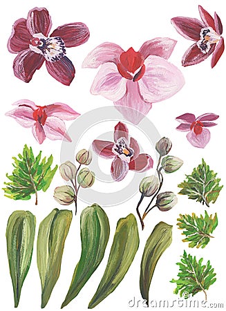 Watercolor painted collection. Excellent Design Watercolor Flowers and Leaves Elements for invitation Stock Photo