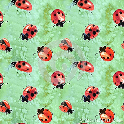 Watercolor painted ladybugs. Stock Photo