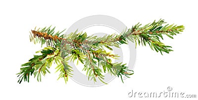 Watercolor painted pine branch Stock Photo