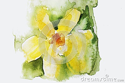 Watercolor yellow flower, green background Stock Photo