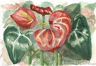 Watercolor painting of anturium flower with leaves Stock Photo